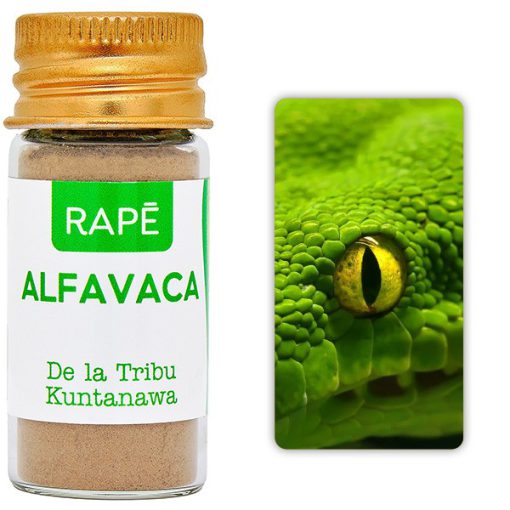 Alfavaca - obrazek 2
